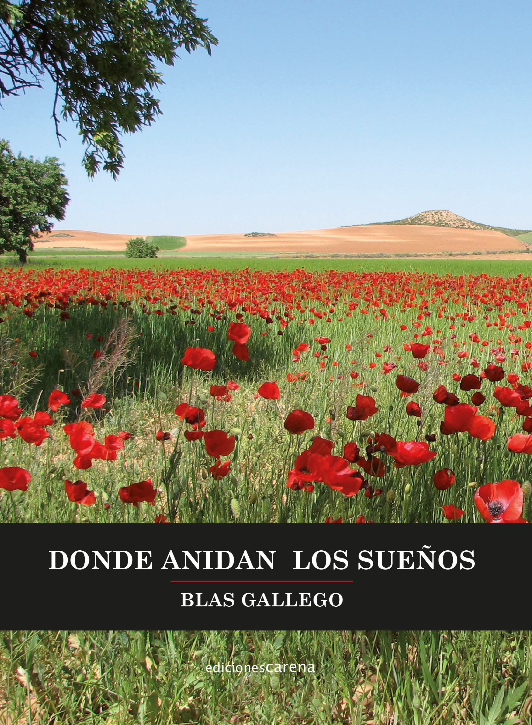 Donde anidan los sueños